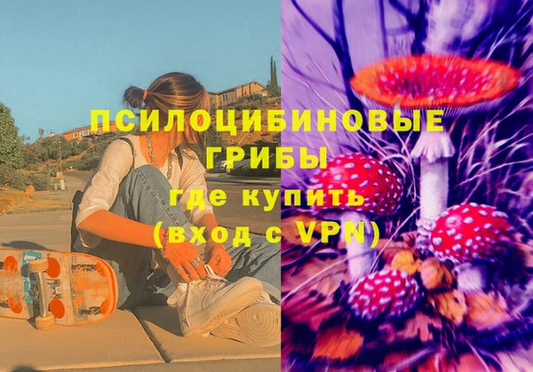 ГАЛЛЮЦИНОГЕННЫЕ ГРИБЫ Воткинск